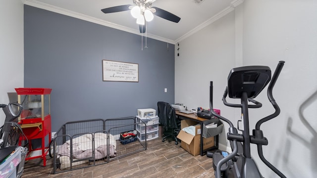 exercise room featuring crown molding and ceiling fan