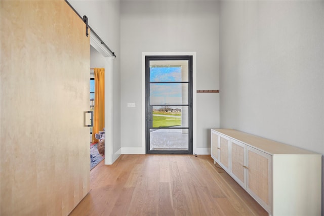 doorway to outside featuring a barn door and light wood-type flooring