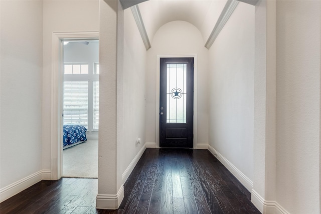 entrance foyer with a healthy amount of sunlight, dark hardwood / wood-style flooring, and vaulted ceiling