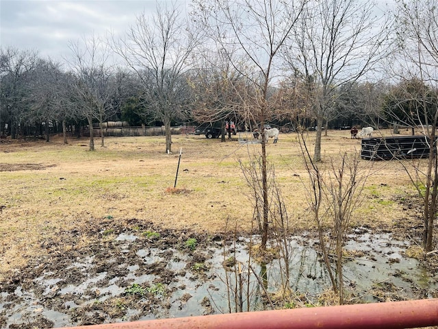 view of yard featuring a rural view and fence