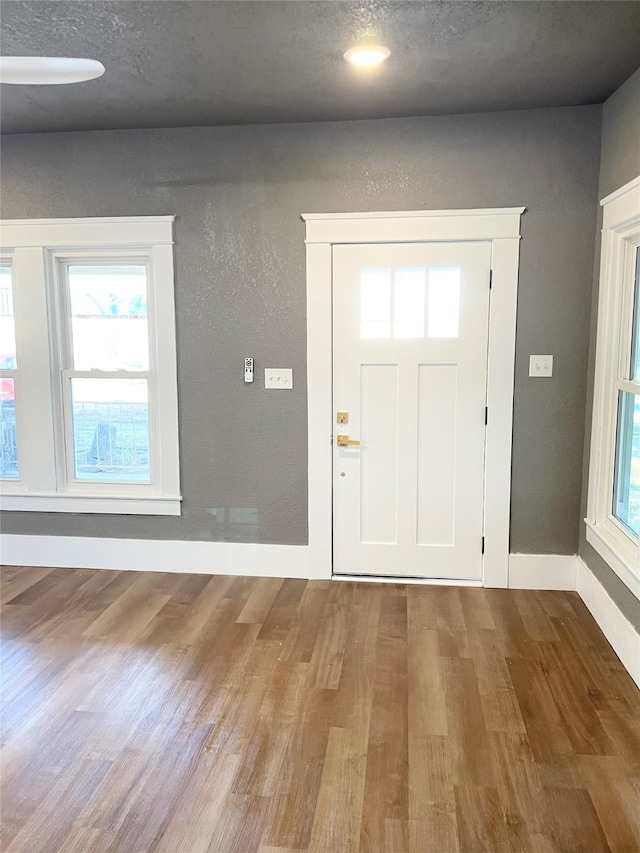 foyer with hardwood / wood-style flooring and a wealth of natural light