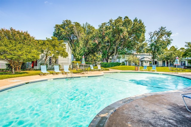 view of pool with a yard