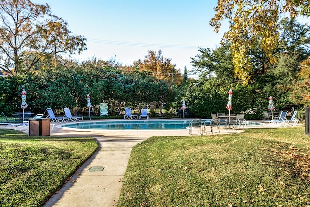 view of swimming pool with a lawn and a patio