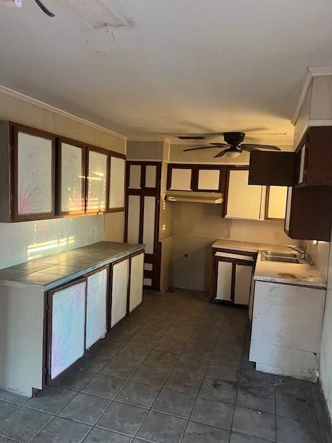 kitchen featuring crown molding, ceiling fan, and sink