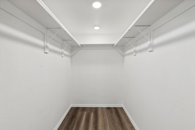 spacious closet featuring dark hardwood / wood-style flooring