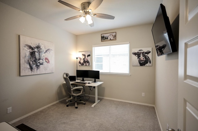 bedroom featuring ceiling fan and carpet flooring