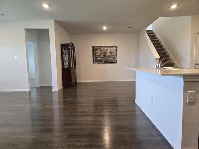 interior space featuring dark wood-type flooring and sink