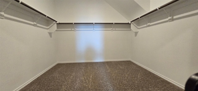 spacious closet featuring carpet