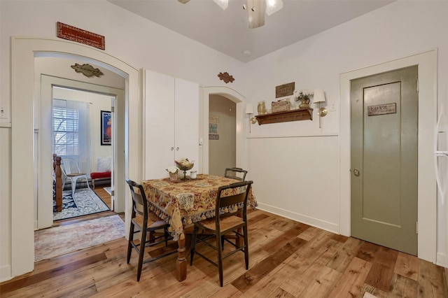 dining room with ceiling fan and light hardwood / wood-style flooring