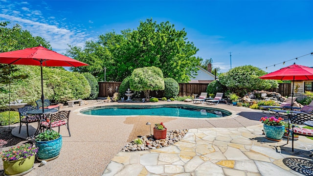 view of swimming pool with a patio area