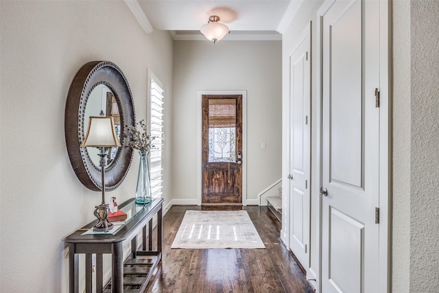 entryway featuring crown molding and dark hardwood / wood-style floors