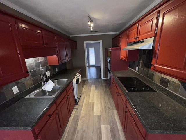 kitchen featuring sink, light hardwood / wood-style flooring, backsplash, black electric stovetop, and ornamental molding