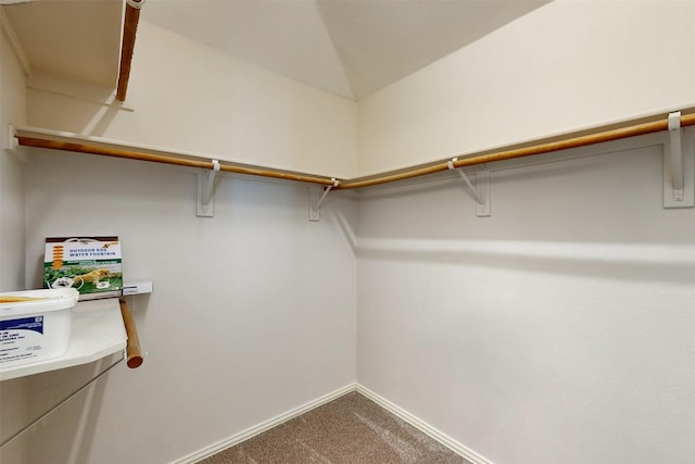 walk in closet with vaulted ceiling and carpet floors