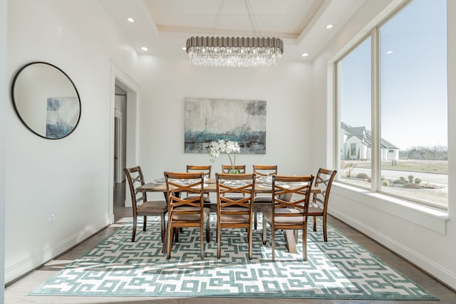 dining space featuring a raised ceiling and hardwood / wood-style floors