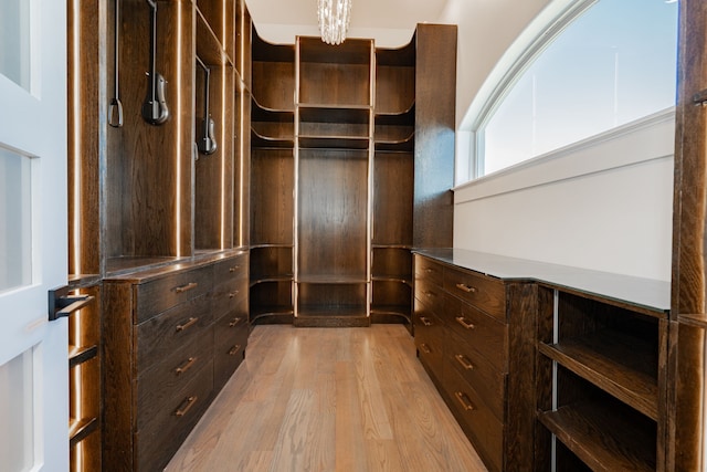 walk in closet with light hardwood / wood-style floors