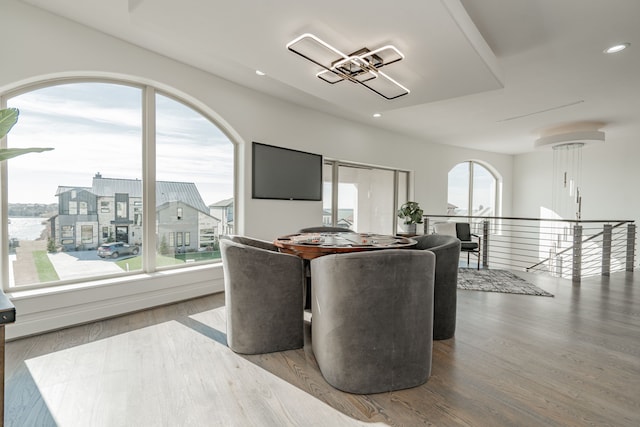 dining space featuring hardwood / wood-style floors