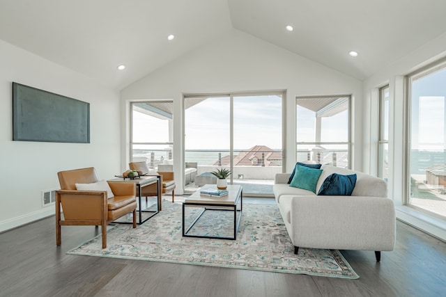 living room with lofted ceiling and wood-type flooring