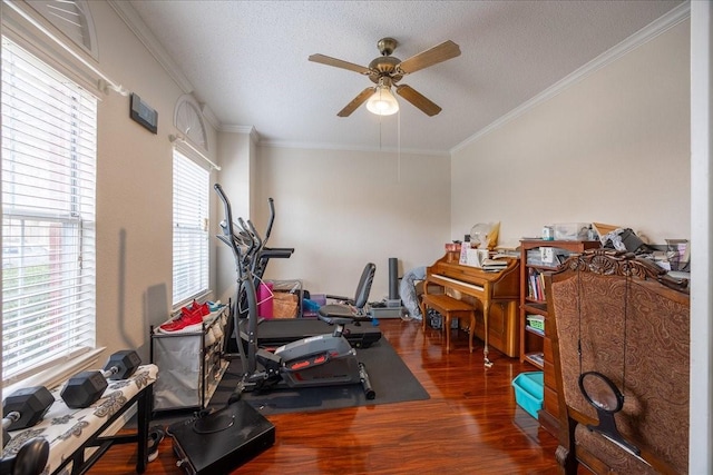 exercise area with ornamental molding, dark hardwood / wood-style floors, and a textured ceiling