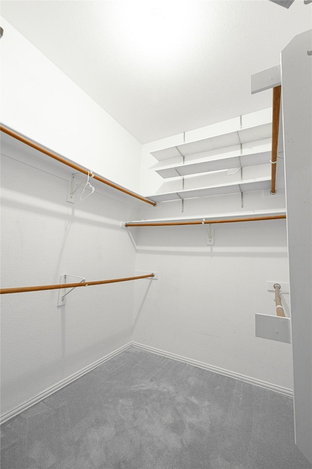 spacious closet featuring carpet floors