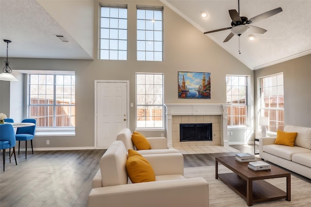 living room featuring a healthy amount of sunlight, a fireplace, and light wood-type flooring