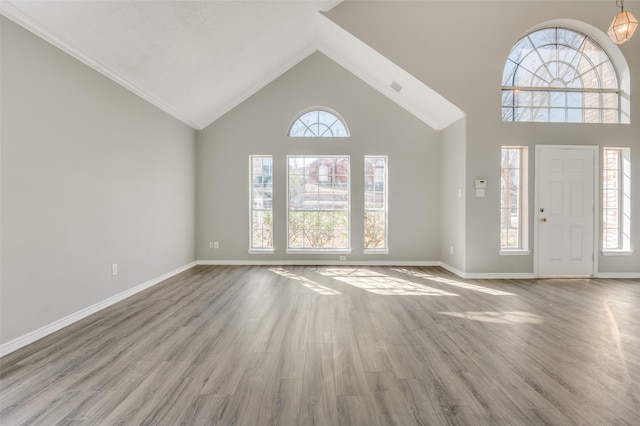 entrance foyer with wood-type flooring, plenty of natural light, and high vaulted ceiling