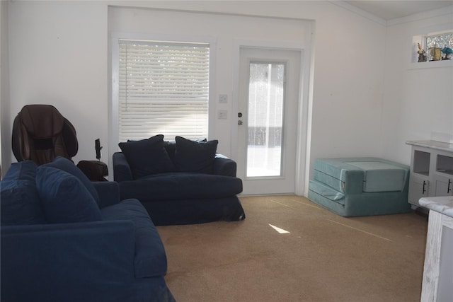 view of carpeted living room