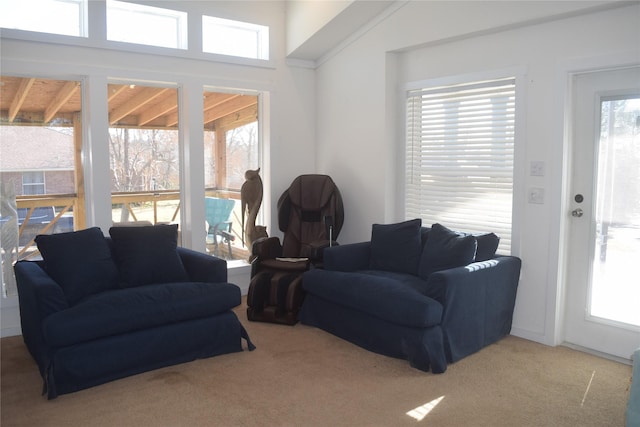 living room with a healthy amount of sunlight and carpet