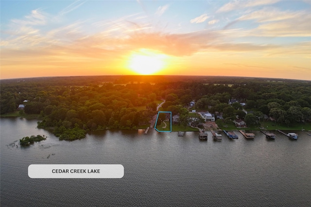 13590 Park Harbor Dr, Eustace, TX 75124 - aerial view at dusk of a water view and a view of trees