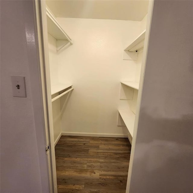 walk in closet with dark hardwood / wood-style flooring