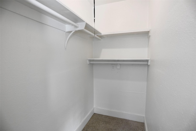 walk in closet featuring carpet floors