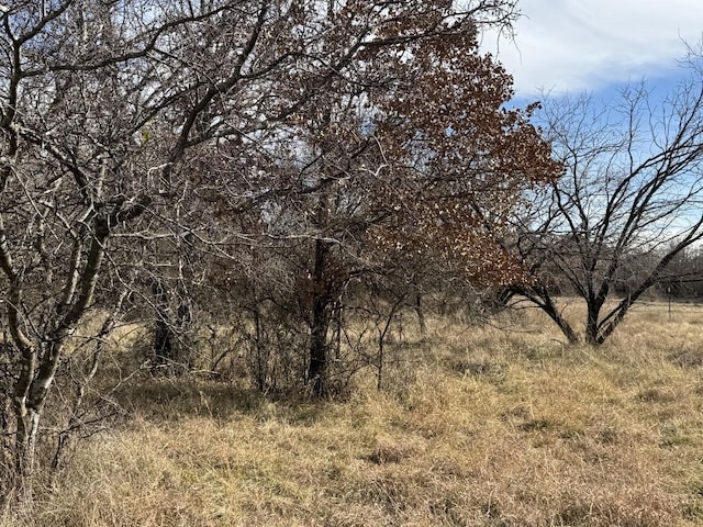 000 County Road 290th Rd, Rising Star TX, 76471 land for sale