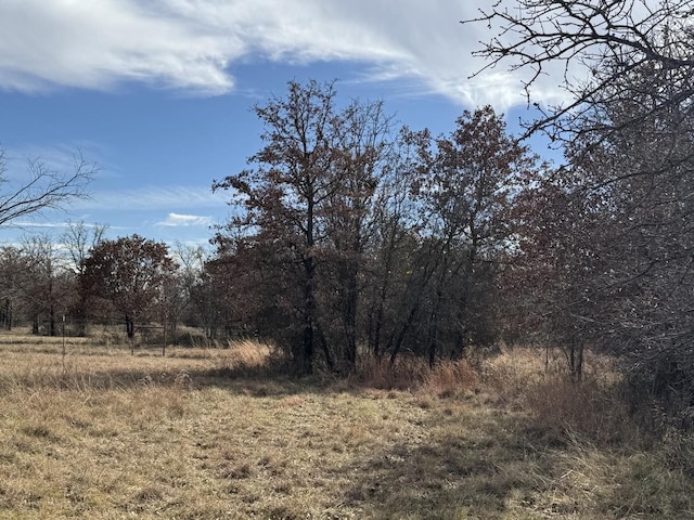 Listing photo 2 for 000 County Road 290th Rd, Rising Star TX 76471