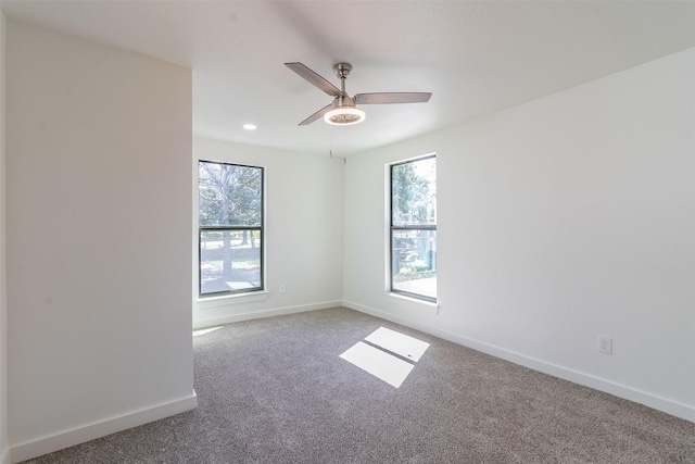 empty room featuring ceiling fan and carpet