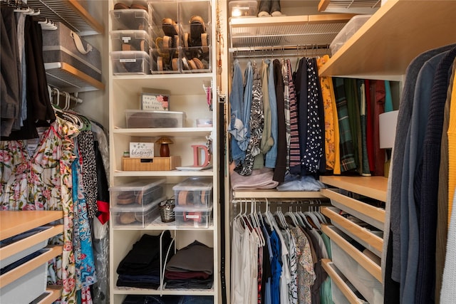 view of spacious closet