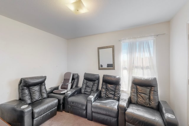 view of carpeted home theater