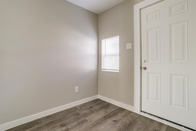 foyer entrance featuring wood-type flooring