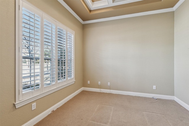 unfurnished room with crown molding and carpet floors