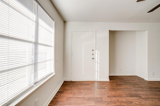 entrance foyer featuring ceiling fan, plenty of natural light, and wood-type flooring