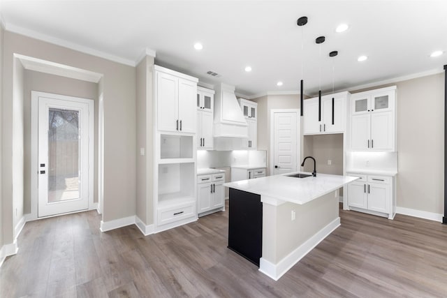 kitchen featuring glass insert cabinets, a kitchen island with sink, a sink, wood finished floors, and premium range hood