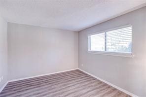 spare room featuring wood-type flooring