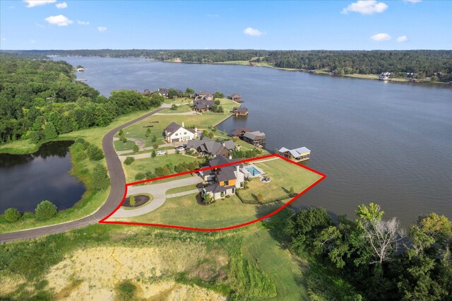 drone / aerial view with a view of trees and a water view