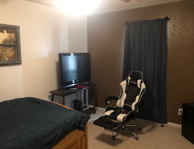 bedroom with carpet floors