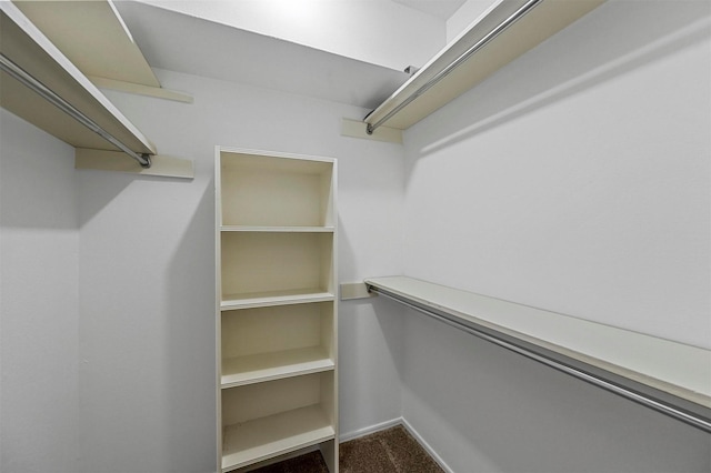 spacious closet with carpet flooring