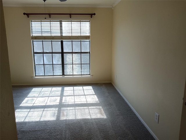 330 W Harwood Rd Unit C, Hurst, TX 76054 - carpeted spare room with healthy amount of natural light, ornamental molding, and baseboards