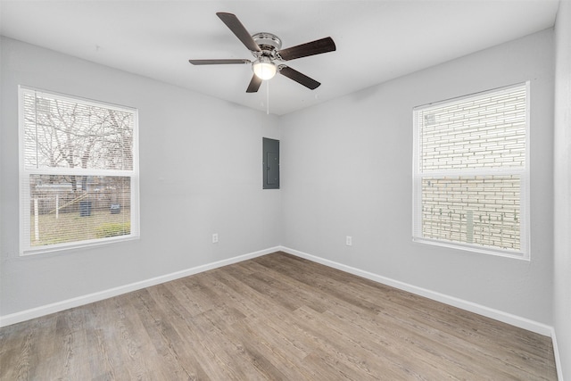 unfurnished room featuring ceiling fan, electric panel, and light wood-type flooring