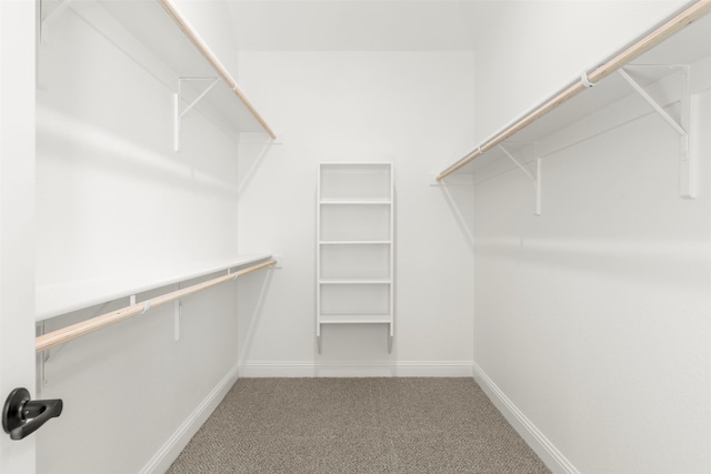 walk in closet featuring carpet floors