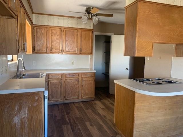 kitchen featuring sink, dark hardwood / wood-style flooring, ceiling fan, kitchen peninsula, and gas stovetop