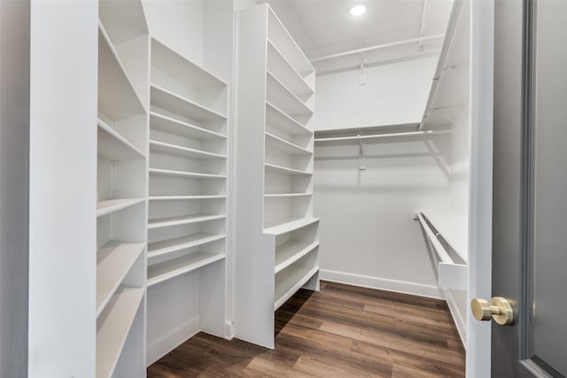 spacious closet with dark wood-type flooring