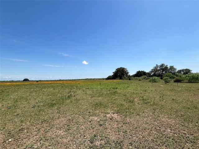 view of local wilderness featuring a rural view