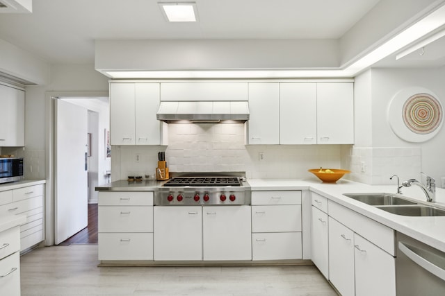 kitchen featuring stainless steel appliances, white cabinetry, a sink, and exhaust hood